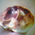 c0050522_22512321.jpg