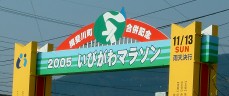 d0006323_1522741.jpg