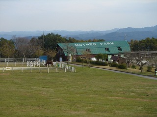d0023323_23213326.jpg