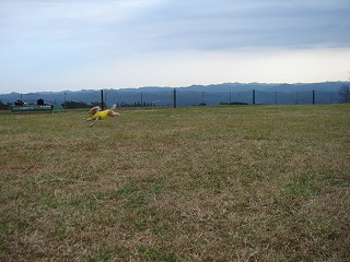 d0023323_23283467.jpg