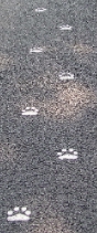 e0071225_15463892.jpg