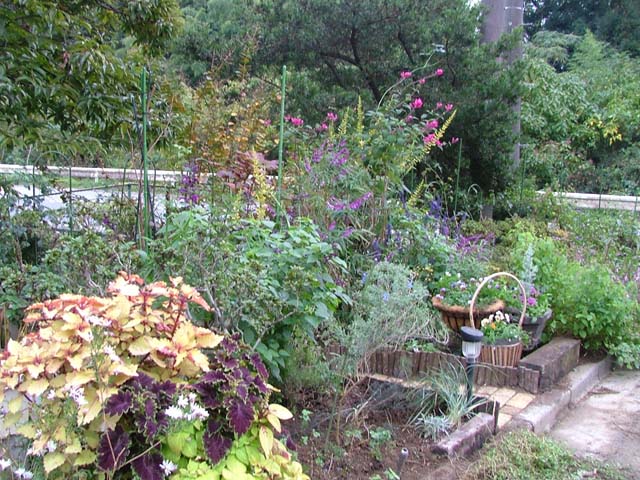 c0045227_8503417.jpg
