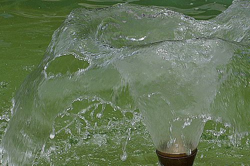 e0089134_9373268.jpg