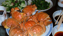 c0069036_23424656.jpg