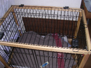 c0065643_15504261.jpg