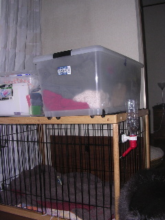 c0065643_1556299.jpg