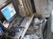 d0061544_19335392.jpg