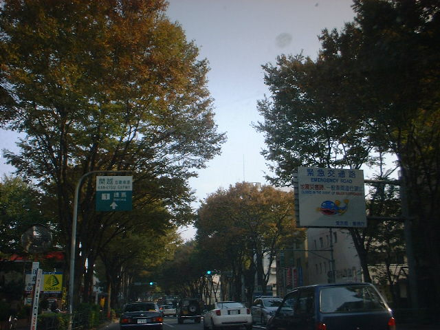 c0071545_23594590.jpg