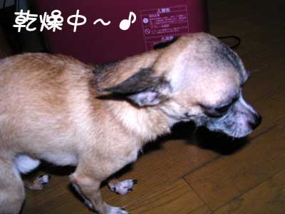 c0019050_23465597.jpg