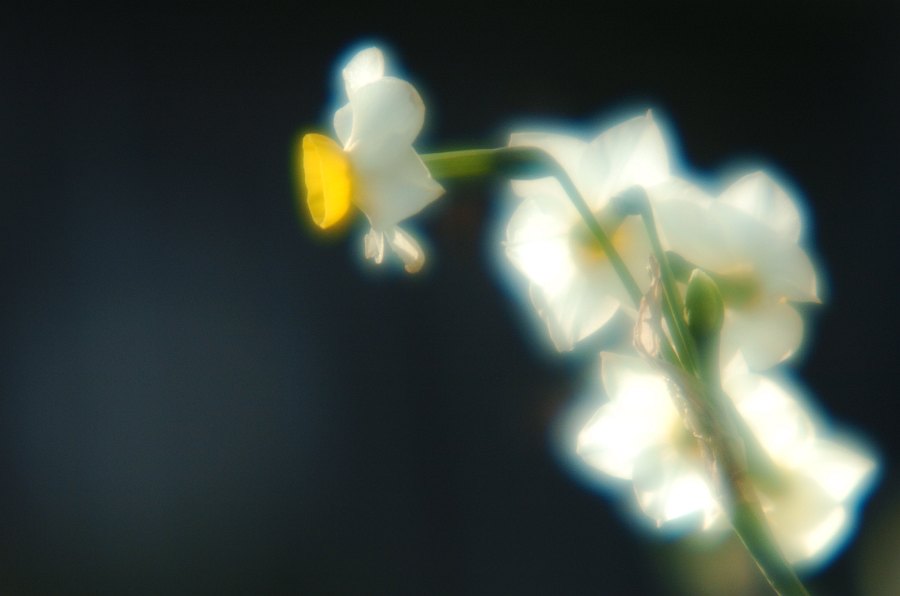 a0063552_7302185.jpg