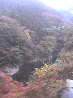 e0074253_1611868.jpg