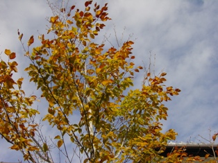 e0015964_22402047.jpg