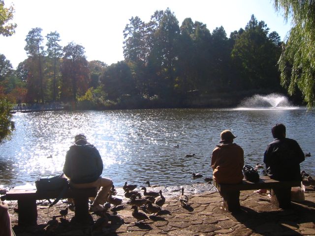 b0027267_233514.jpg