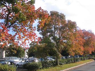 e0031568_16155019.jpg