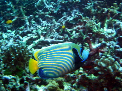 a0002177_23533926.jpg