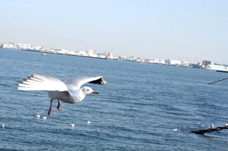 c0025895_043993.jpg