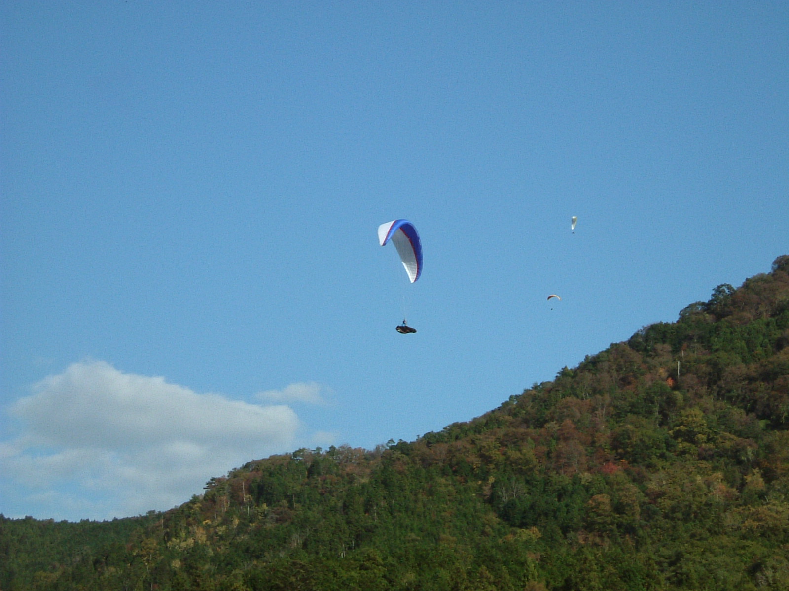 d0050195_0234321.jpg