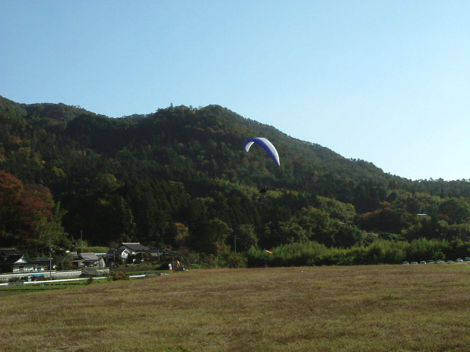 d0050195_0243921.jpg