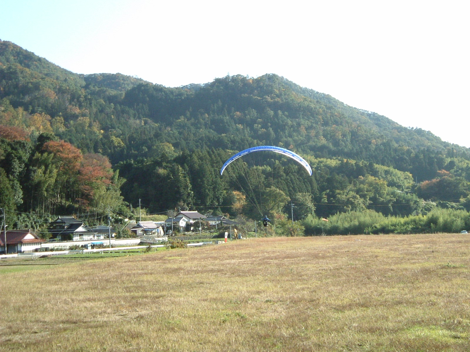 d0050195_025615.jpg