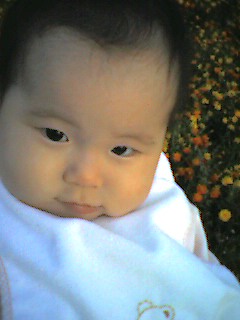 d0063903_8504338.jpg