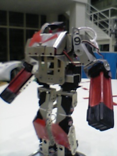 c0073612_051529.jpg