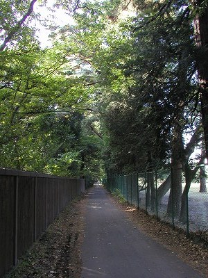 b0000813_1455126.jpg