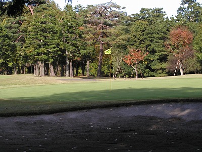 b0000813_1512297.jpg