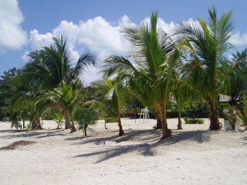 a0000014_20561673.jpg