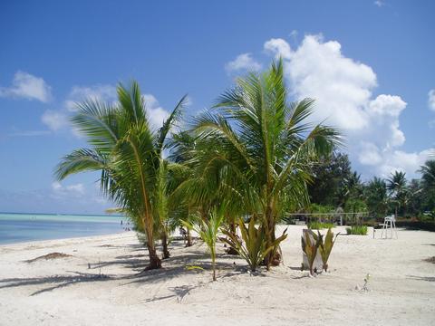 a0000014_2056550.jpg