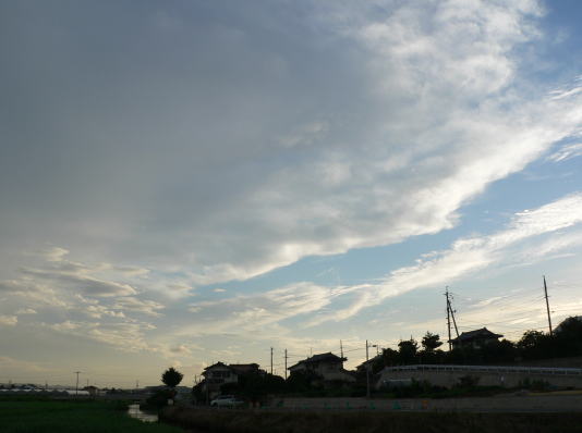a0015815_23342075.jpg