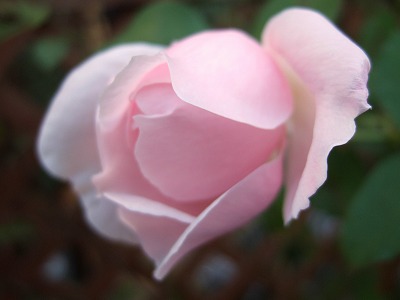 a0034419_12364338.jpg