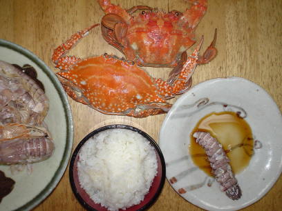 c0007822_20201086.jpg