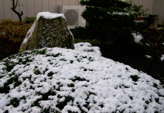 d0068023_1511195.jpg