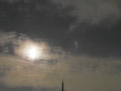 d0002224_2171557.jpg