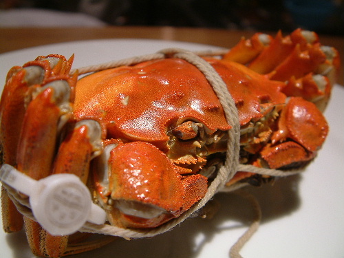 a0000029_10182146.jpg
