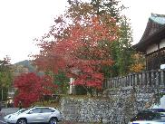 a0024829_2250389.jpg