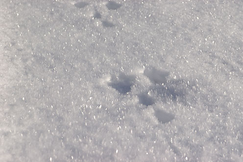e0025030_13485590.jpg