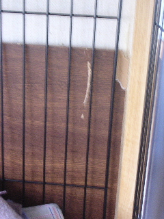 c0065643_1942022.jpg