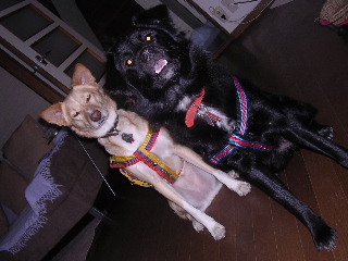 c0065643_1951440.jpg