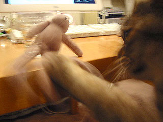 c0003752_230648.jpg
