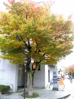 d0045862_0523497.jpg