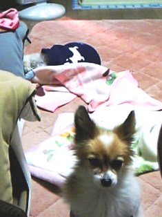 e0043162_1292361.jpg