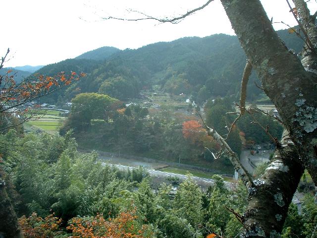 b0032167_13334.jpg