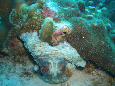 a0002177_052135.jpg