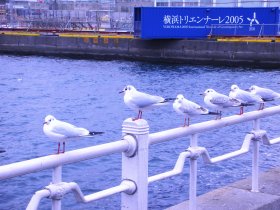 c0058978_1343478.jpg