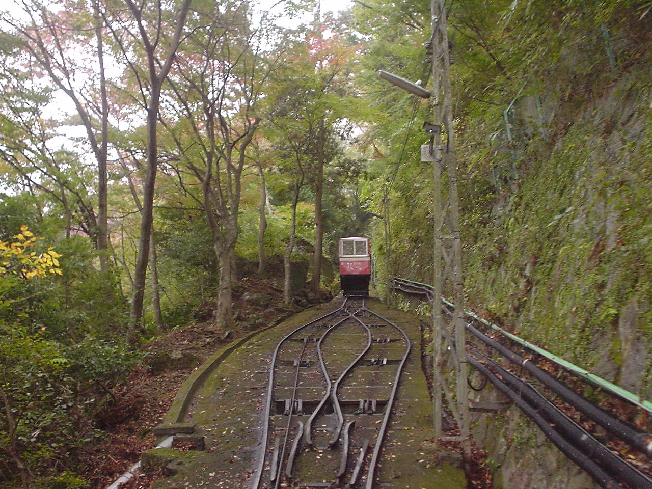 d0056881_79210.jpg