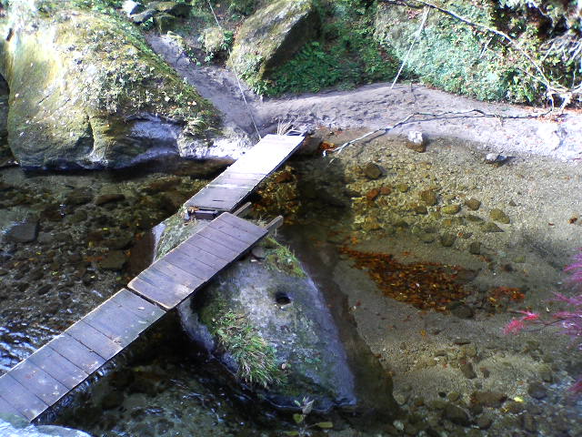 a0028482_1520223.jpg