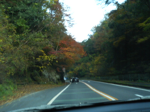 a0028482_152086.jpg