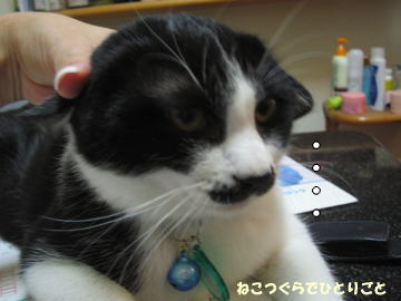 b0041182_017019.jpg