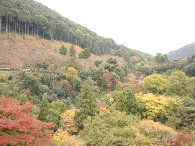 e0005887_2129031.jpg